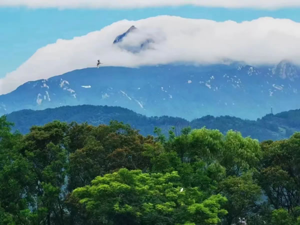 热烈祝贺因诺门窗荣获【遇见·禾川高端民宿】项目唯一指定门窗类品牌